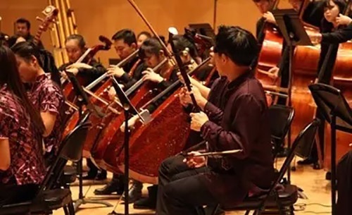 民族低音拉弦乐器 民族低音拉弦乐器